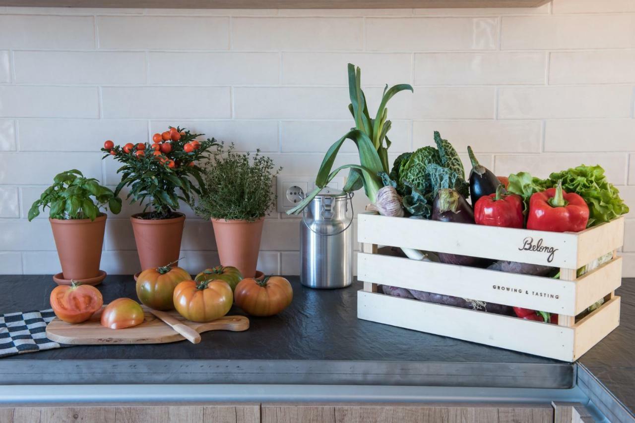 Craveiral Farmhouse By Belong Staying & Feeling São Teotónio Kültér fotó
